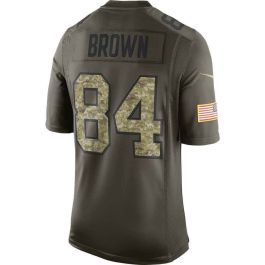 Nike Tampa Bay Buccaneers No81 Antonio Brown Camo Men's Stitched NFL Limited 2018 Salute To Service Jersey